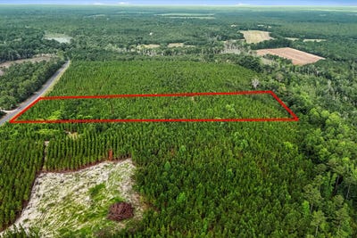 /international/us/687-white-pond-road-williston-sc-110100853497/