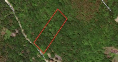 /international/us/223-falcon-loop-rd-e-rochester-vt-110107481711/
