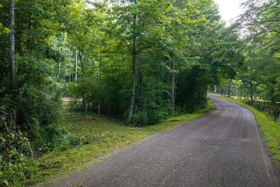 /international/us/o-green-town-road-tracy-city-tn-110119473844/
