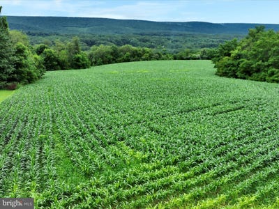 /international/us/moyers-station-and-summer-hill-roads-schuylkill-haven-pa-110101319497/