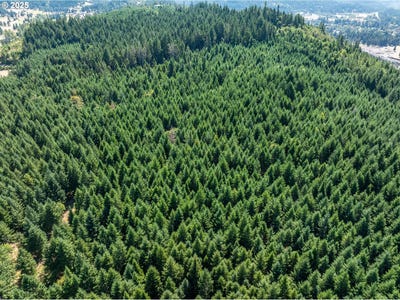 /international/us/2nd-st-oakridge-or-110105393844/