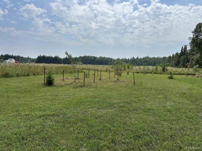 /international/us/3850-w-us2-manistique-mi-110101432478/?lang=it