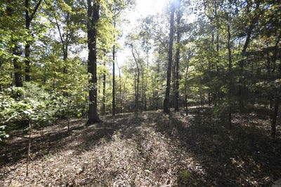 /international/us/polk-road-675-mena-ar-110120713036/