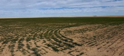 /international/us/000-co-rd-a-cheyenne-wells-co-110106496649/