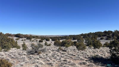 /international/us/cimarron-drive-road-quemado-nm-110105734629/