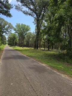 /international/us/1-vz-county-road-4700-ben-wheeler-tx-110100944007/