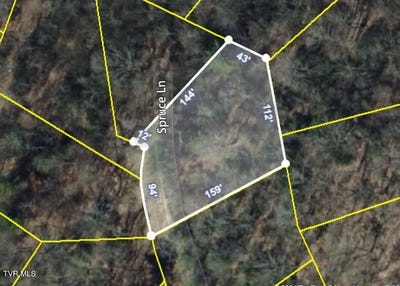 /international/us/108-spruce-lane-beech-mountain-nc-110096938955/