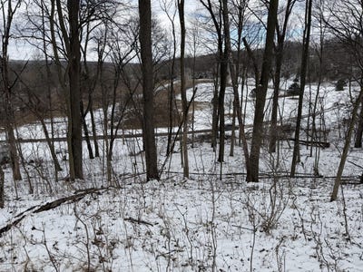 /international/us/hosford-drive-lot-65-ionia-mi-110106010092/