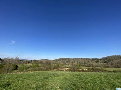 /international/us/6555-highway-174-springville-al-110101344946/