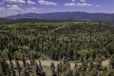 /international/us/lot-1142a-panorama-way-angel-fire-nm-110099485210/