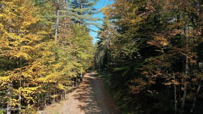 /international/us/173-cleveland-road-johnsburg-ny-110102774032/