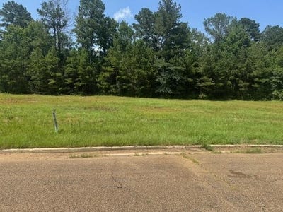 /international/us/lot-4-business-center-drive-mccomb-ms-110079608398/