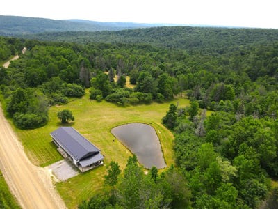 /international/us/5461-morgan-hill-rd-scio-ny-110100591606/