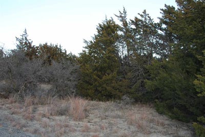 /international/us/5524-state-highway-34c-lot-36-woodward-ok-110063467655/