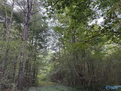 /international/us/001-skyball-road-blountsville-al-110109885394/