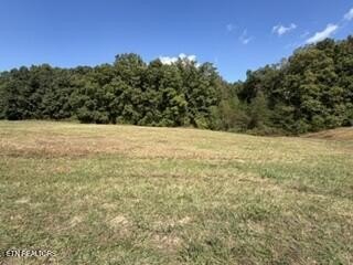 /international/us/estate-loop-tr-crossville-tn-110120066108/