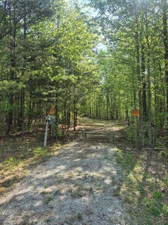 /international/us/628-mountain-creek-rd-lot-14-green-bay-va-110109507334/