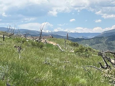 /international/us/598-mount-mcconnell-dr-livermore-co-110108490023/