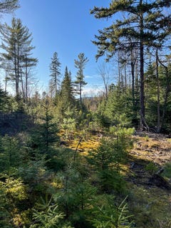 /international/us/0-cold-brook-road-vermontville-ny-110100680881/?lang=zh-tw