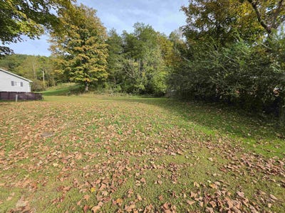/international/us/90-twp-rd-1156-chesapeake-oh-110120488627/