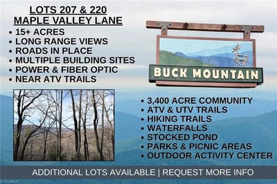 /international/us/maple-valley-lane-lot-207-220-purlear-nc-110105783561/