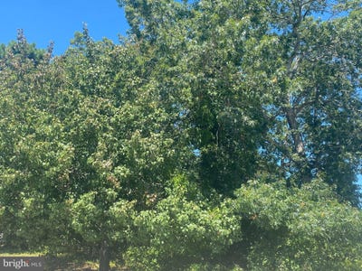 /international/us/140-warren-grove-road-barnegat-nj-110102153669/