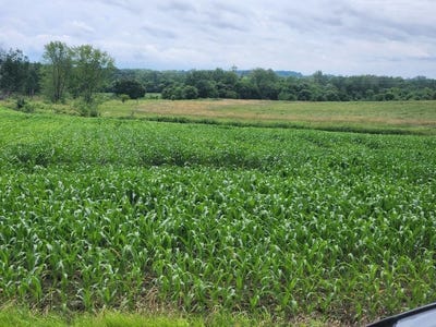 /international/us/503-w-north-road-cadott-wi-110100728666/?lang=zh-cn