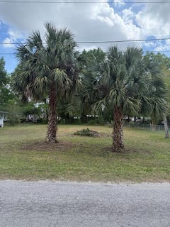 /international/us/ne-7th-ave-lot-1-trenton-fl-110106818483/