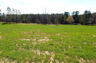 /international/us/4-graysport-crossing-road-lot-4-gore-springs-ms-110089772110/