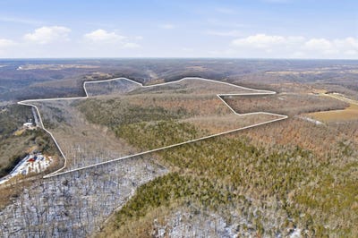 /international/us/reno-springs-road-branson-mo-110105803448/