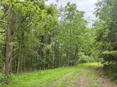 /international/us/lot-1-nowhere-ln-oakland-twp-pa-110100359449/?lang=en