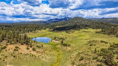 /international/us/raptor-place-pagosa-springs-co-110110406481/