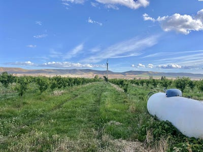 /international/us/robinson-rd-grandview-wa-110108343966/