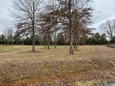 /international/us/27r-river-birch-drive-guy-ar-110106250743/