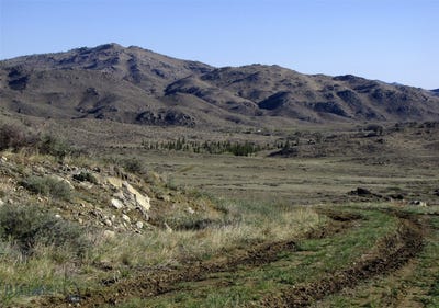 /international/us/buffalo-commons-wheatland-wyoming-wy-110108091373/