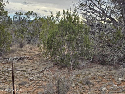 /international/us/32667-w-conejo-road-seligman-az-110110398162/