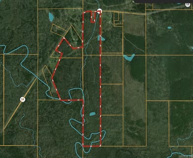 /international/us/s-highway-11-star-city-ar-110109889486/