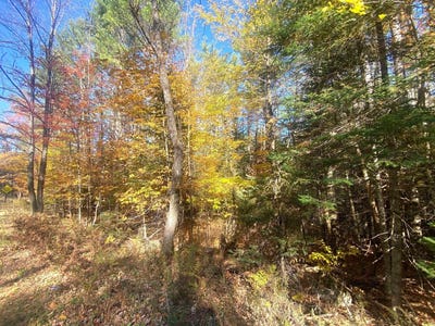 /international/us/l36-county-route-29-minerva-ny-110097293266/
