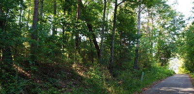 /international/us/treeline-drive-dunlap-tn-110098597379/