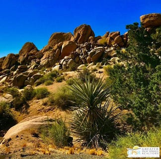 /international/us/6220-mirlo-ct-yucca-valley-ca-110108281570/