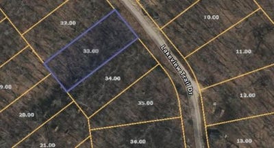 /international/us/lakeview-trail-holladay-tn-110096875674/