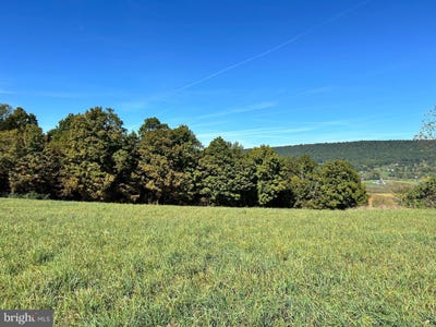 /international/us/lot-5-linden-hall-road-boalsburg-pa-110095025691/
