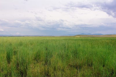 /international/us/little-muddy-creek-ranch-cascade-mt-110092992250/