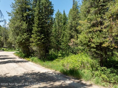 /international/us/lot-31-pine-alpine-wy-110097157384/?lang=zh-cn