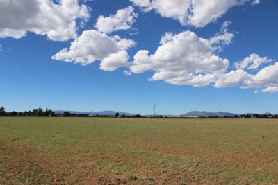 /international/us/tbd-martinez-rd-moriarty-nm-110102823275/