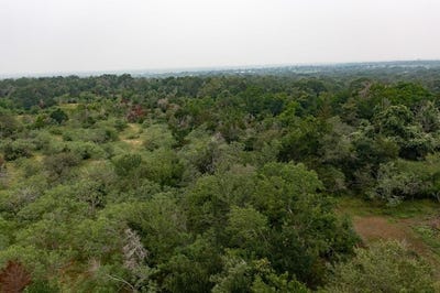 /international/us/private-road-4601-lot-2-waelder-tx-110100076566/