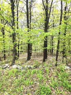 /international/us/0-high-hill-road-athens-ny-110099394705/?lang=zh-tw