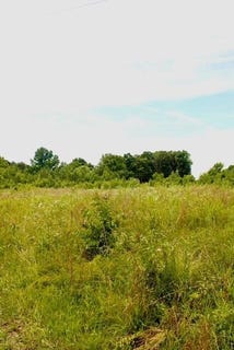 /international/us/482-friendship-lane-delano-tn-110108615889/