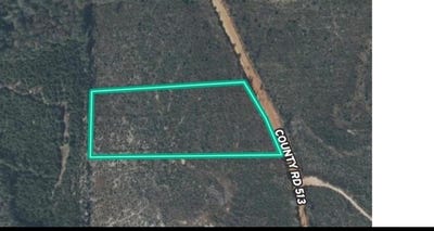 /international/us/1554-county-rd-513-elba-al-110100949561/