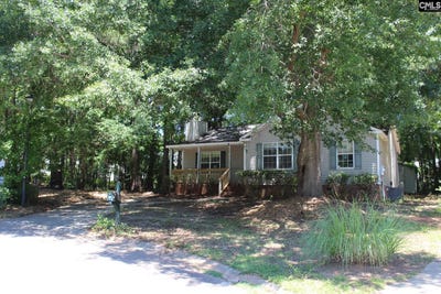 /international/us/14-holliston-court-chapin-sc-110109101207/